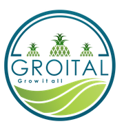 groital logo