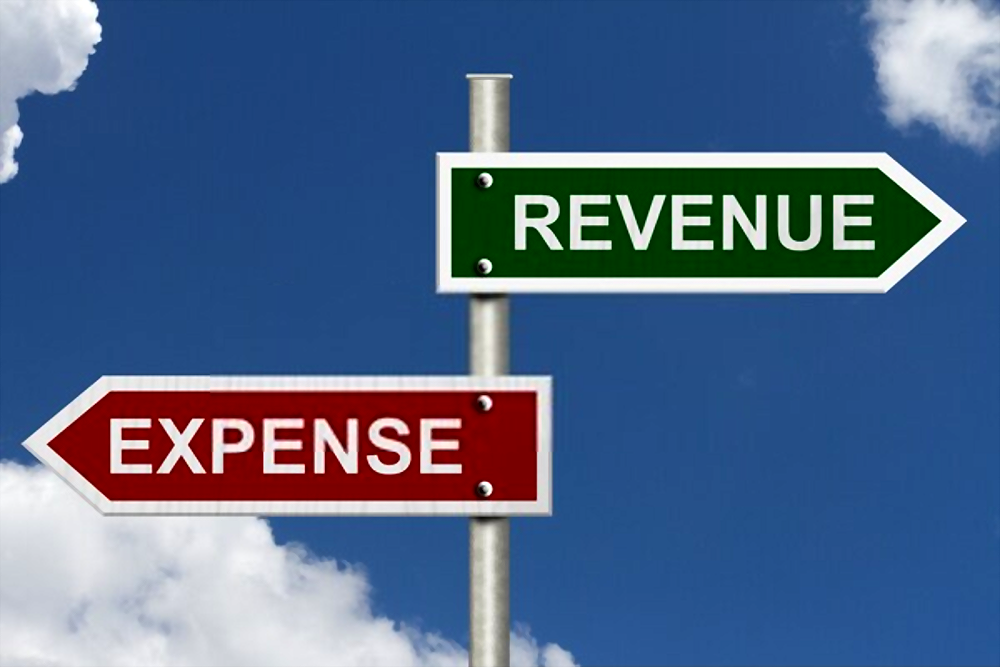 business revenue and expenses